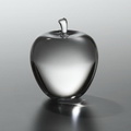 optical k9 crystal apple paperweight